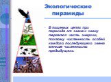 Экологические пирамиды. В пищевых цепях при переходе от звена к звену теряется часть энергии, поэтому численность особей каждого последующего звена меньше численности предыдущего.