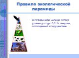 В пятизвенной цепи до пятого уровня доходит 0,01% энергии, поглощенной продуцентами.