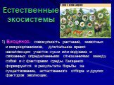 Естественные экосистемы. 1) Биоценоз- совокупность растений, животных и микроорганизмов, длительное время населяющих участок суши или водоема и связанных определенными отношениями между собой и с факторами среды. Биоценоз формируется в результате борьбы за существование, естественного отбора и други