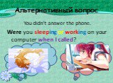 Альтернативный вопрос. You didn’t answer the phone. Were you sleeping or working on your computer when I called?