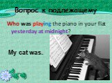 Вопрос к подлежащему. Who was playing the piano in your flat yesterday at midnight? My cat was..