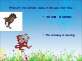What are the animals doing in the Zoo ?(be Ving). The wolf is running. The monkey is dancing.