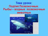 Тема урока: Подтип Позвоночные. Рыбы – водные позвоночные животные