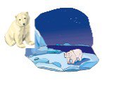 Белый медведь. Белый медведь живет на севере, где всегда очень холодно. У него густая и плотная шерсть, которая защищает тело медведя от холода и намокания в ледяной воде. Белый медведь считается полуводным животным.