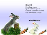 КРОЛИК Не обидит мухи Кролик длинноухий. В клетке для него всегда Есть морковка и вода. крольчонок