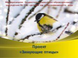 Проект «Зимующие птицы». Муниципальное бюджетное дошкольное образовательное учреждение № 175 – детский сад общеразвивающего вида