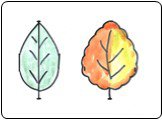 Рисование осенних листьев Слайд: 6