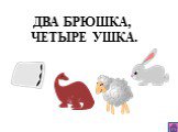 ДВА БРЮШКА, ЧЕТЫРЕ УШКА.