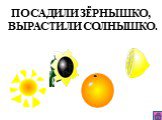 ПОСАДИЛИ ЗЁРНЫШКО, ВЫРАСТИЛИ СОЛНЫШКО.