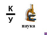 наука