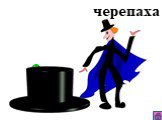 черепаха