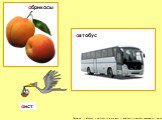Посмотри – абрикос – на букву А, а это аист – тоже на А, и автобус начинается на А! абрикосы автобус аист
