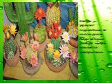 Кактусы – украшают подоконники во многих домах. Люди которые разводят кактусы называются «кактусистами».