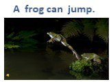 A frog can jump.