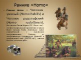 Ранние «Homo». Ранние Homo – Человек умелый (Homo habilis) и Человек рудольфский (Homo rudolfensis), Восточная и Южная Африка (2.5-1.5 млн. лет) – потомки грацильных австралопитеков и предки более поздних Homo. Длительное время сосуществовали с массивными австралопитеками. Отличия от австралопитеков