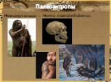 Палеоантропы. Неандертальцы - Homo neanderthalensis