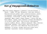 Кот д’Ивуарский ebolavirus. Вирус был впервые обнаружен у шимпанзе в лесу Кот-д’Ивуара, в Африке. 1 ноября 1994 года, обнаружены трупы двух шимпанзе. Вскрытие показало наличие крови в полостях некоторых органов. Исследование тканей шимпанзе дали те же результаты что и исследования тканей людей, в те