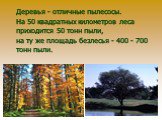 Деревья - отличные пылесосы. На 50 квадратных километров леса приходится 50 тонн пыли, на ту же площадь безлесья - 400 - 700 тонн пыли.