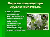 Если к укусам повышенная чувствительность. Необходимо при себе иметь лекарственные препараты и соблюдать меры предосторожности