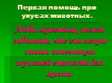 Любя животных, нельзя забывать, что они могут стать источником серьезной опасности для жизни.