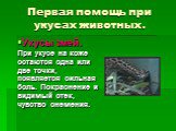 Укусы змей. При укусе на коже остаются одна или две точки, появляется сильная боль. Покраснение и видимый отек, чувство онемения.