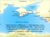 Черноморское побережье — единственная зона субтропиков на территории РФ. Черноморское побережье расположено в юго-западной части Северного Кавказа, в Краснодарском крае.