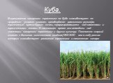 Куба. Выращиванию сахарного тростника на Кубе способствуют ее природные условия: климат, преобладание равнинного рельефа, тропические красно-бурые почвы, сформировавшиеся под саваннами и тропическими лесами. В настоящее время они отведены под плантации сахарного тростника и других культур. Постоянно