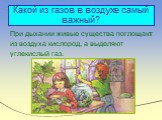 Какой из газов в воздухе самый важный? При дыхании живые существа поглощают из воздуха кислород, а выделяют углекислый газ.