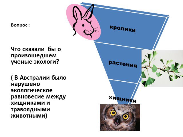 Экологическое равновесие 4 класс окружающий мир презентация