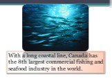With a long coastal line, Canada has the 8th largest commercial fishing and seafood industry in the world.