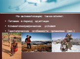 На аклимитизацию также влияет: Питание в период адаптации Климатогеографические условия Генотипические особенности организма (рис.)