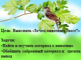 Цель: Выяснить «Зачем животным хвост?» Задачи: Найти и изучить материал о животных Обобщить собранный материал и сделать вывод