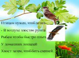 Птицам нужен, чтоб летать - В воздухе хвостом рулить, Рыбам чтобы быстро плыть. У домашних лошадей Хвост затем, чтоб бить слепней.