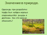 Однажды при разработке торфа был найден хорошо сохранившейся рыцарь в доспехах. Как это можно объяснить? Значение в природе.