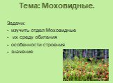 Тема: Моховидные. Задачи: изучить отдел Моховидные их среду обитания особенности строения значение