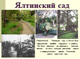 Ялтинский сад. Посаженный Чеховым сад в Ялте был предметом особой гордости и заботы. Он был посажен по принципу «вечная весна», то есть каждое растение цвело в определенное время. Растения цвели круглый год.