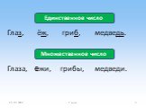 Глаза, ежи, грибы, медведи. Единственное число. Множественное число