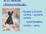 А.П.Чехов «Белолобый». Будем учиться читать - думать, читать - чувствовать, читать - жить.