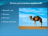 1. Внешний вид 2. Повадки 3. Питание 4. Польза, значение. План рассказа о верблюде: