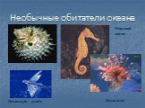 Необычные обитатели океана. Летающая рыба Морской конек Крылатка