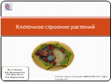 Клеточное строение растений. По учебнику: И.Н. Пономаревой И.В. Николаева О.А. Корниловой. Учитель химии и биологии МКОУБСОШ №2 п Бреды Ушкарева В.Я