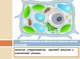 наличие хлоропластов, крупной вакуоли и клеточной стенки. Отличительные особенности строения клеток растений-