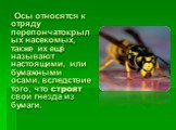 Осы относятся к отряду перепончатокрылых насекомых, также их ещё называют настоящими, или бумажными осами, вследствие того, что строят свои гнезда из бумаги.