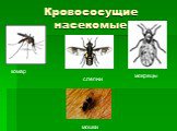 Кровососущие насекомые. комар мокрецы слепни мошки