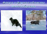 Флора и фауна в области многообразна.