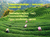 Главное занятие – сельское хозяйство Земледелие(рис, чай) Скотоводство Производство шелка