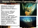 Морган Робертсон «Тщетность». Произведения искусства не раз предвосхищали исторические события, научные открытия, развитие технического прогресса и др. Энергия искусства пробуждает чувства и сознание и авторов произведений, и людей, их воспринимающих. Не менее важны произведения искусства, в которых