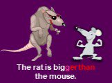 The rat is bigger than the mouse.