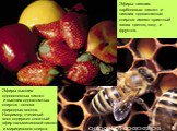Эфиры низших карбоновых кислот и низших одноатомных спиртов имеют приятный запах цветов, ягод и фруктов. Эфиры высших одноосновных кислот и высших одноатомных спиртов - основа природных восков. Например, пчелиный воск содержит сложный эфир пальмитиновой кислоты и мирицилового спирта CH3(CH2)14–CO–OC
