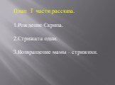 План I части рассказа. Рождение Скрипа. Стрижата одни. Возвращение мамы – стрижихи.